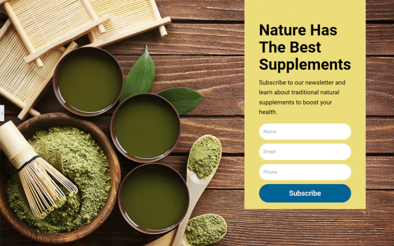ffiliate marketing wordpress website template and theme